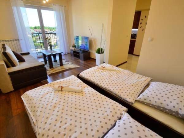 Apartament Antonio Διαμέρισμα Zator Εξωτερικό φωτογραφία